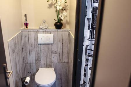 Cosy Au Coeur Des 3 Vallees Argelès-Gazost Екстериор снимка